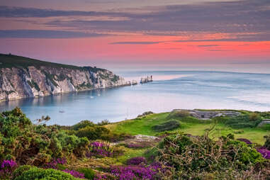 A beautiful dusk view overlooking the Needles from Headon Warren on the Isle of Wight in the UK. In the foreground you can see the yearly bloom of purple and pink heather flowers.