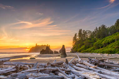 Olympic National Park, Washington