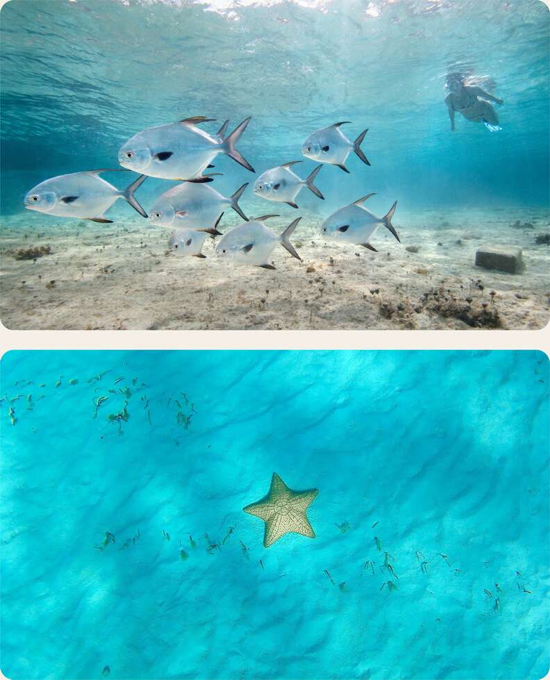 El Cielo cozumel mexico