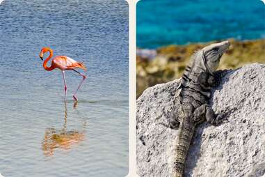 Punta Sur Eco Beach Park cozumel