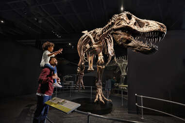 parent and child look at a dinosaur at COSI science museum in Columbus, Ohio