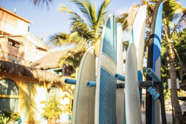 a group of surfboards standing in front of buildings and coconut trees, in Sayulita, Mexico