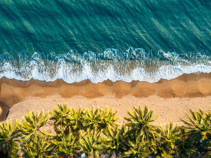Ellis beach aerial view, Cairns, Queensland, Australia, showing clay colored sand, palm trees and blue ocean water.