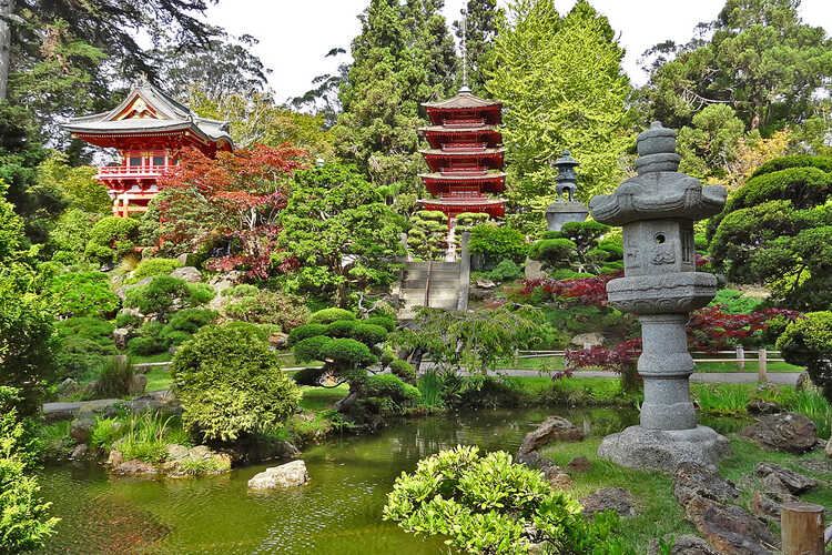 Japanese Tea Garden