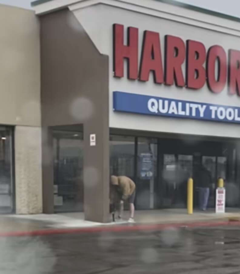 man saving dog