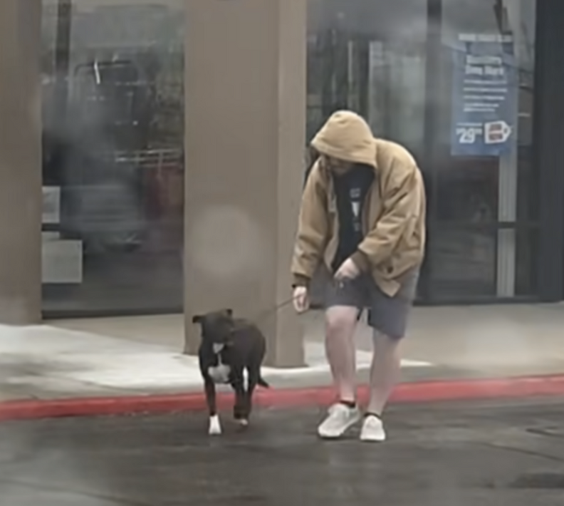 man saving dog
