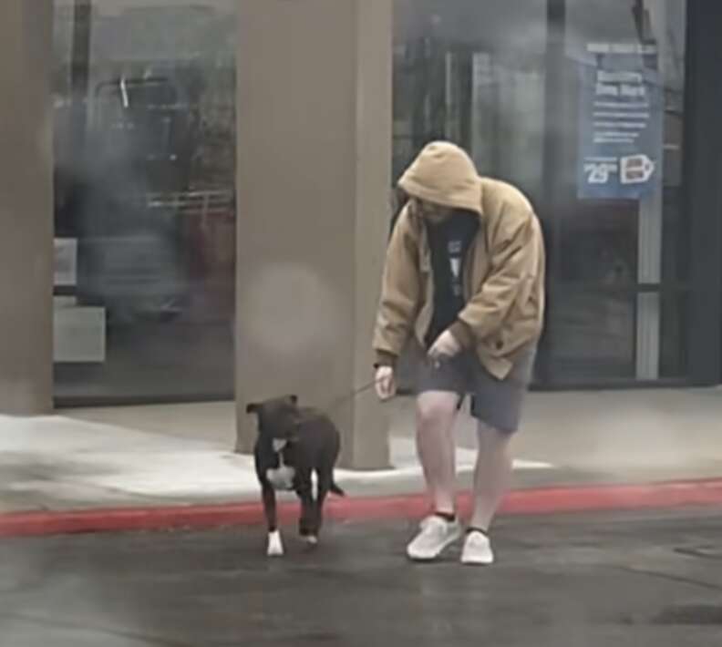 man saving dog 