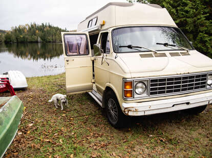 dog and a retro camper van near a lake