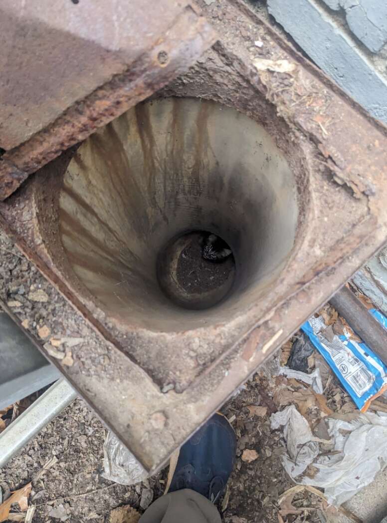 cat at bottom of pipe 