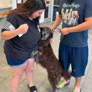 Shelter Staff Holds Back Tears As Lost Dog Runs To Hug Her Mom