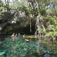 Grand Cenote sinkhole with ultra clear water for swimming and snorkelling, near Tulum on the Yucatan peninsula, Quintana Roo, Mexico. 