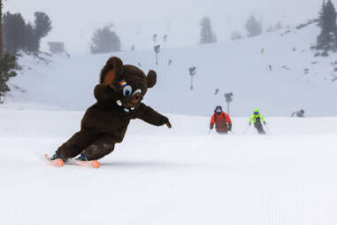 the mammoth mascot skis down the mountain in mammoth lakes, ca