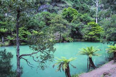 blue water with palm trees by jenolan caves katoomba australia