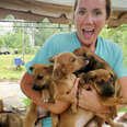 Five Puppies Show Up In Family's Backyard