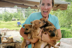 Five Puppies Show Up In Family's Backyard