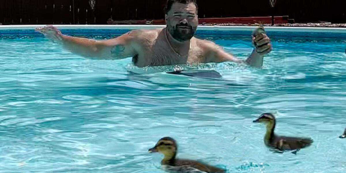 This Guy Is Either Boxing Or Saving Animals
