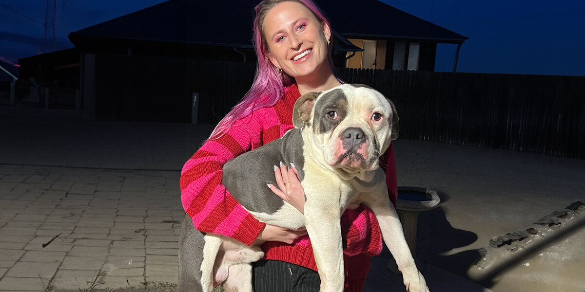 Girl Finds A Stray Pittie On The Way To Christmas Dinner - Videos - The ...