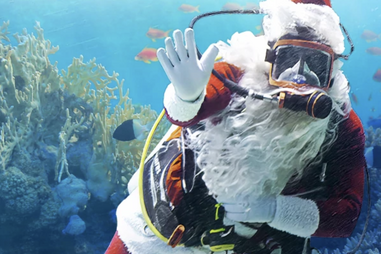 scuba santa waves from a tank in the adventure aquarium in new jersey