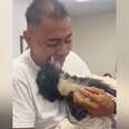 'Miracle' Dog Hospitalized For Weeks Loses It After Reuniting With Dad