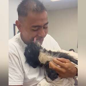 'Miracle' Dog Hospitalized For Weeks Loses It After Reuniting With Dad