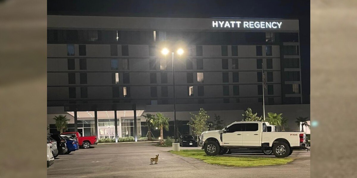 He Lived In A Hotel Parking Lot For 2 Months Until Someone Decided To Help