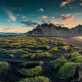 Beautiful landscape of sunrise over Vestrahorn mountain with clump of grass on black sand beach in Stokksnes peninsula on the southeastern at Iceland.