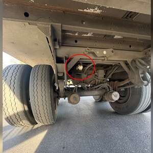 Truck Driver Hears Cry From Beneath Vehicle And Ends Up Making A Friend