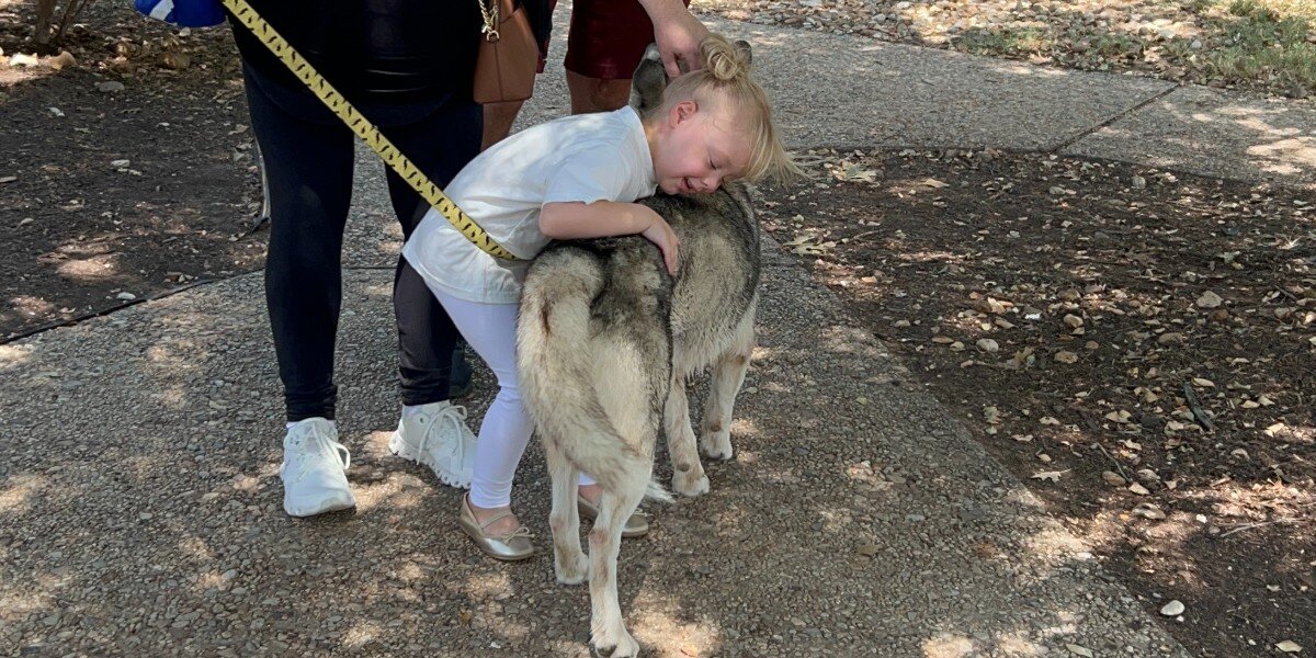 Unwanted Husky Was Losing Hope — Until He Met This Tiny Human - The Dodo