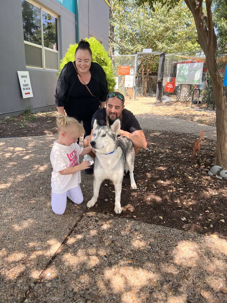 husky and new family