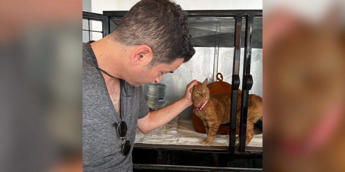 Cat Who Spent 12 Years In Testing Lab Finally Gets Her Very Own Name ...