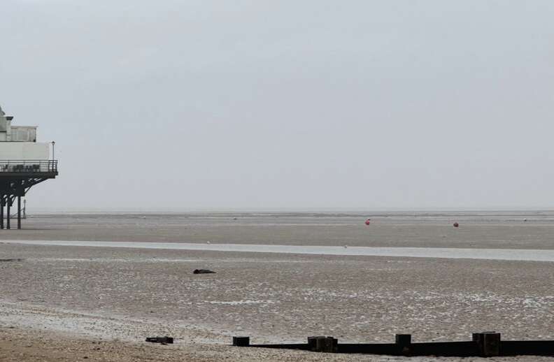 dark object on beach