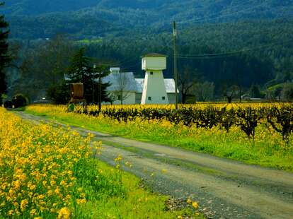 St. Helena, California