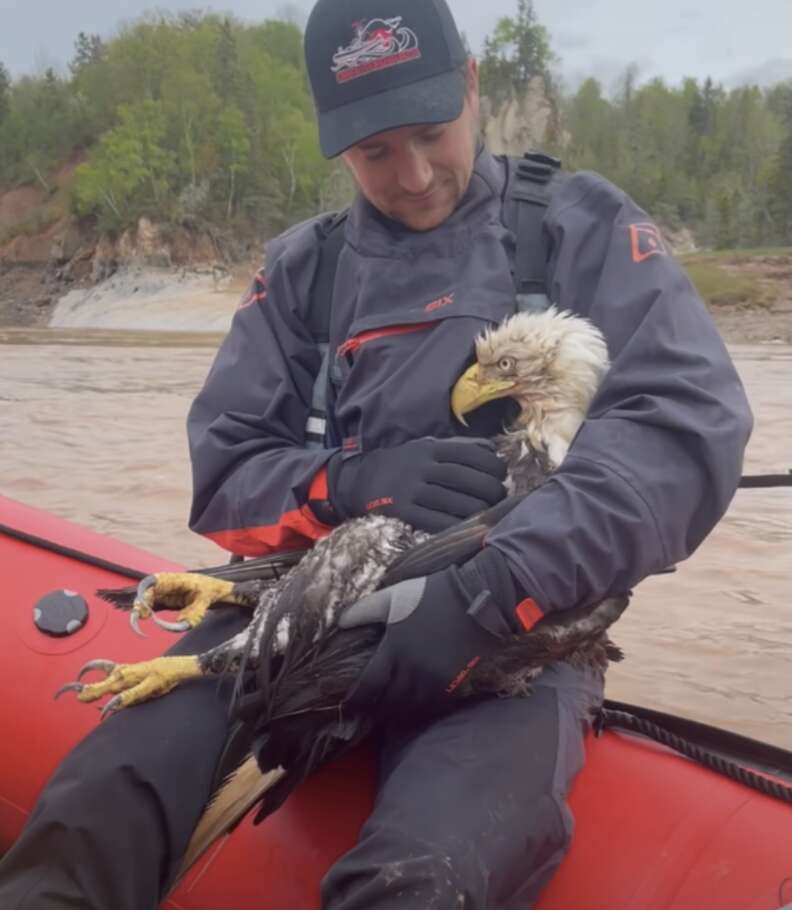 man holding eagle 