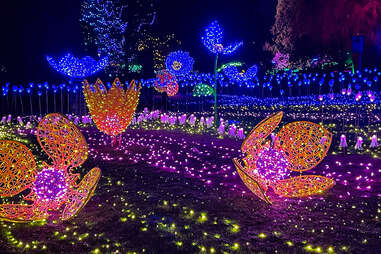 VanDusen Festival of Lights