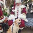Her Mom Reported Her Missing But She'd Just Snuck Out To Visit Santa