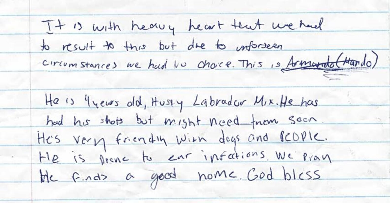 Friendly Dog Waits In A Parking Lot With A Heartbreaking Note - The Dodo