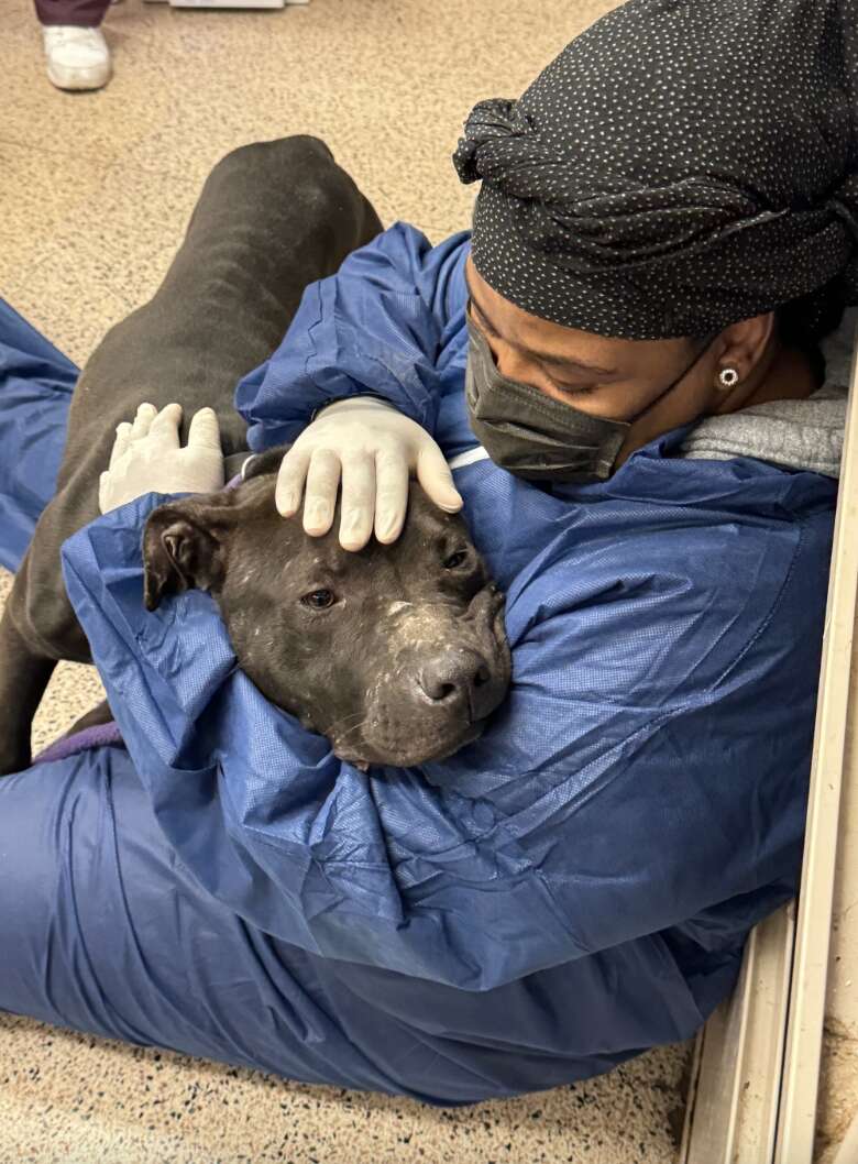 dog hugging rescuer 