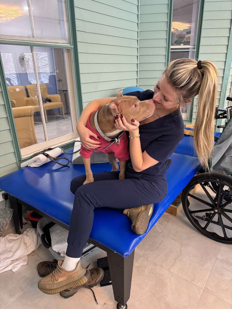 Watch The Moment This Shut-Down Shelter Dog's Dreams Finally Come True - Breaking USA News