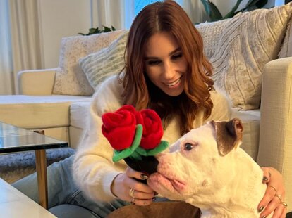Zosia Mamet Gets Cozy On An Adorable Dodo Dream Date - The Dodo