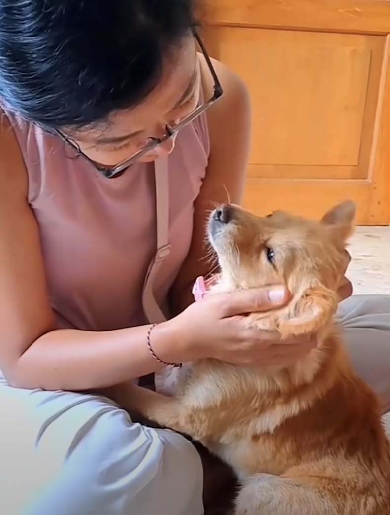 Woman cuddling light brown dog
