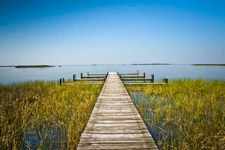 False Cape State Park