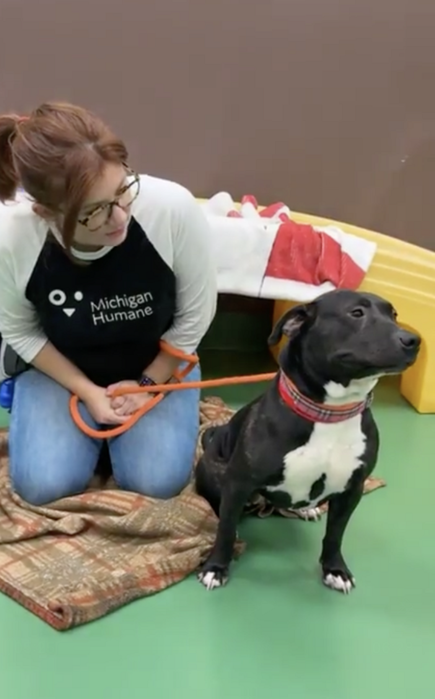 Man Walking By Animal Shelter Sees Dog In Yard And Realizes He Knows ...