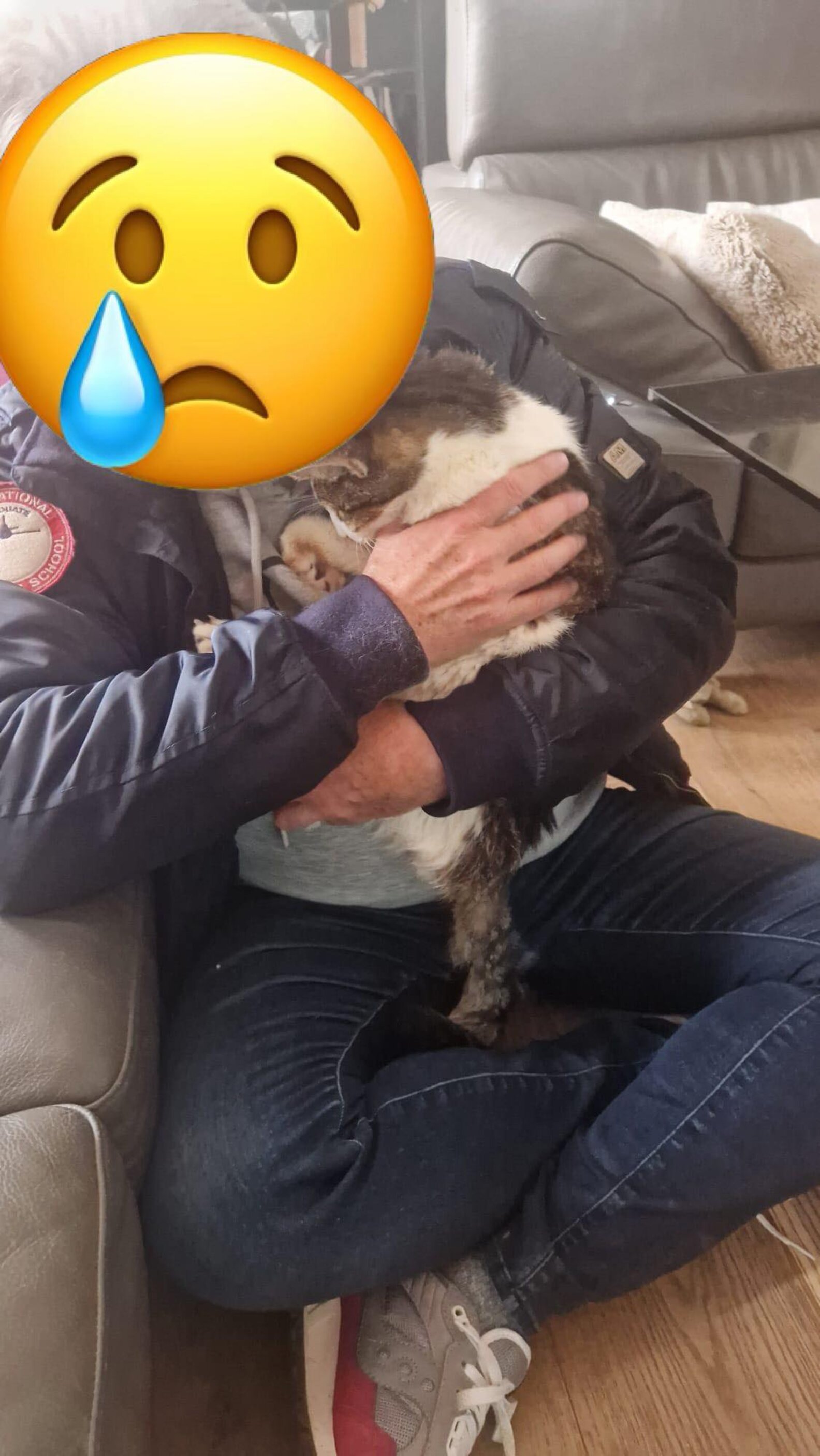 Lost Cat Found After 15 Years Reunites With His Dad For One Last