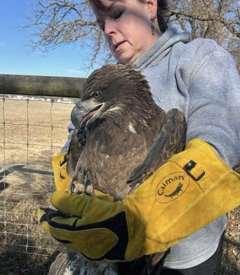 woman holding eagle