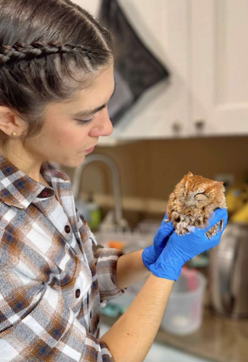 Owl in woman's hands