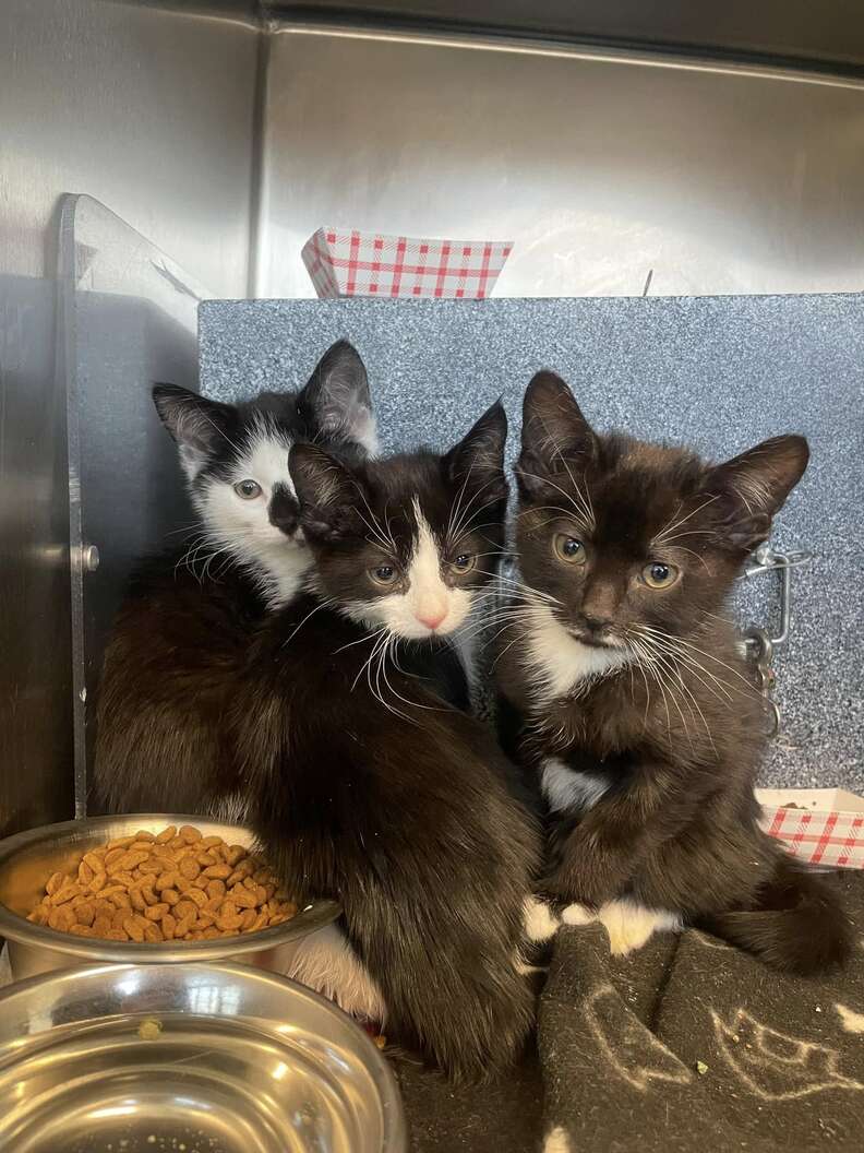 Another image of Craisin