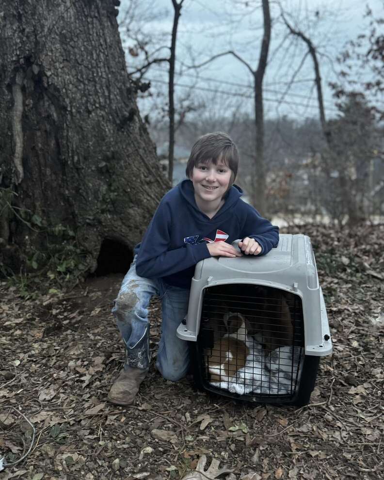 Little boy helps rescue 11 puppies from inside tree