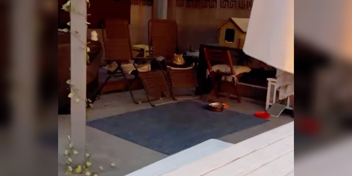 Woman Wakes Up To A Friendly Stranger Sleeping In Her Lawn Chair