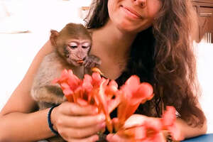 Tiny Monkey Gets Rescued From A Petting Zoo