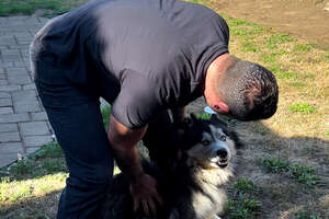 Husky Who Spent His Whole Life Alone In A Yard Gets Rescued